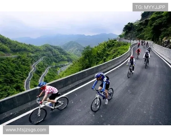 以体育精神为核心推动全民健康与社会和谐发展的创新路径探索